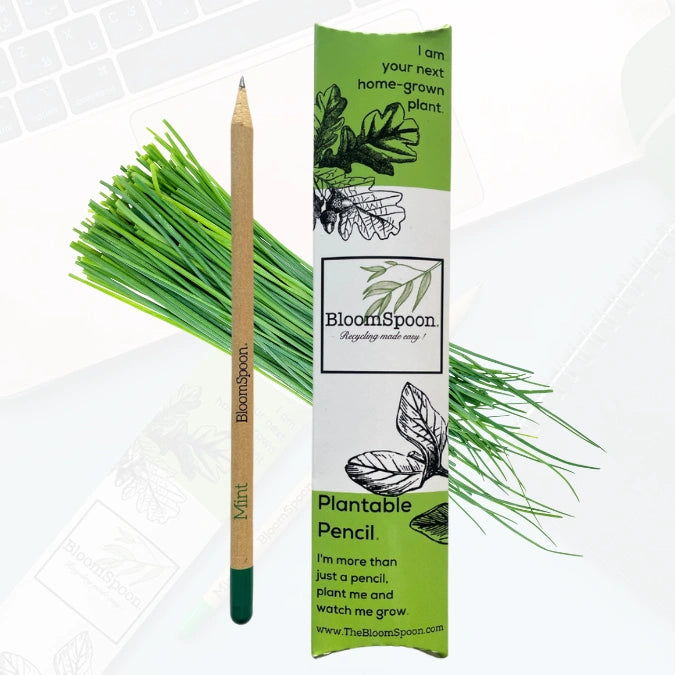 BLOOMSPOON PLANTABLE PENCIL