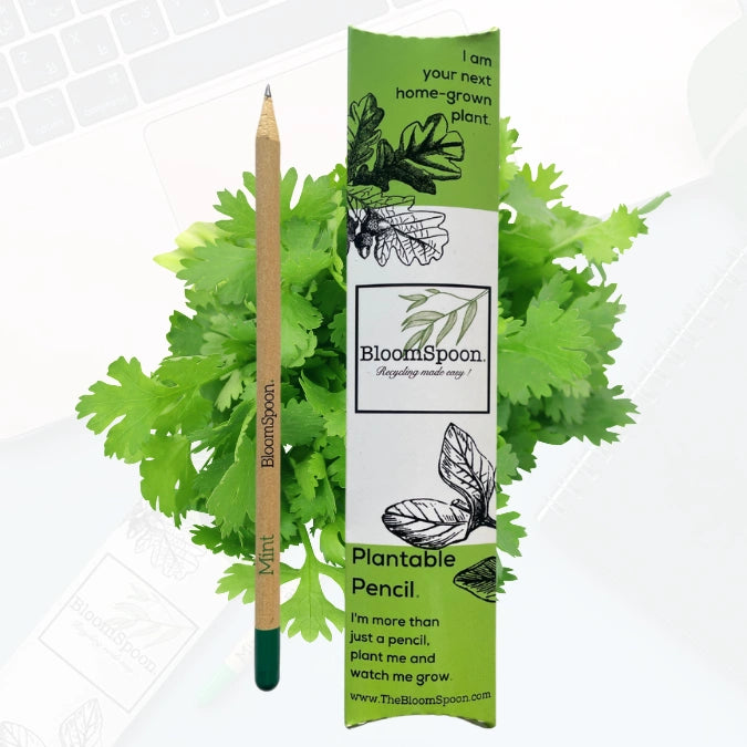 BLOOMSPOON PLANTABLE PENCIL