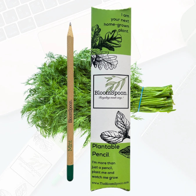 BLOOMSPOON PLANTABLE PENCIL