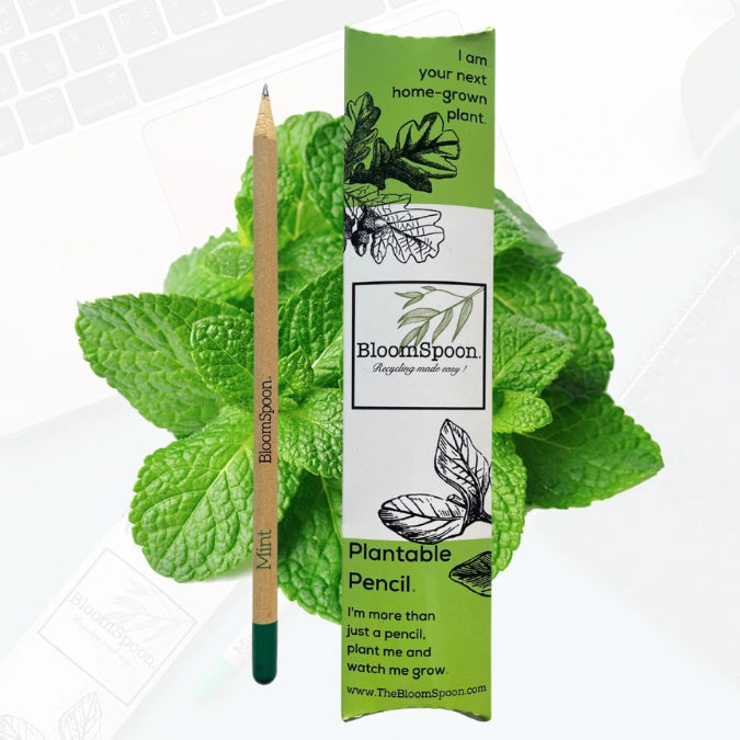 BLOOMSPOON PLANTABLE PENCIL