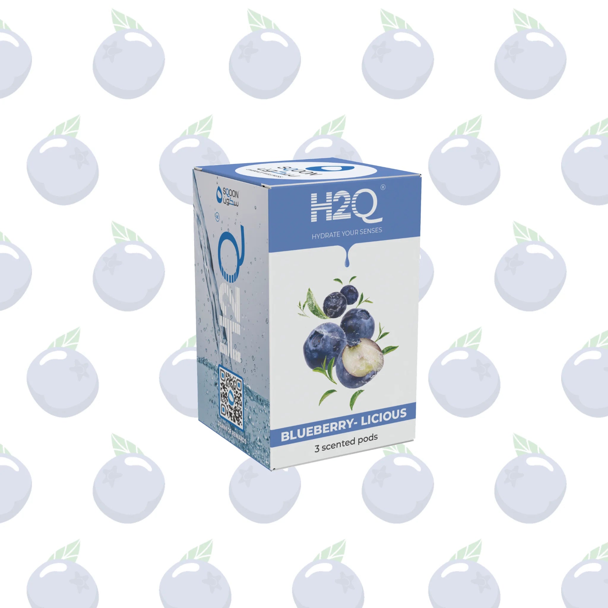 H2Q BLUEBERRY-LICIOUS