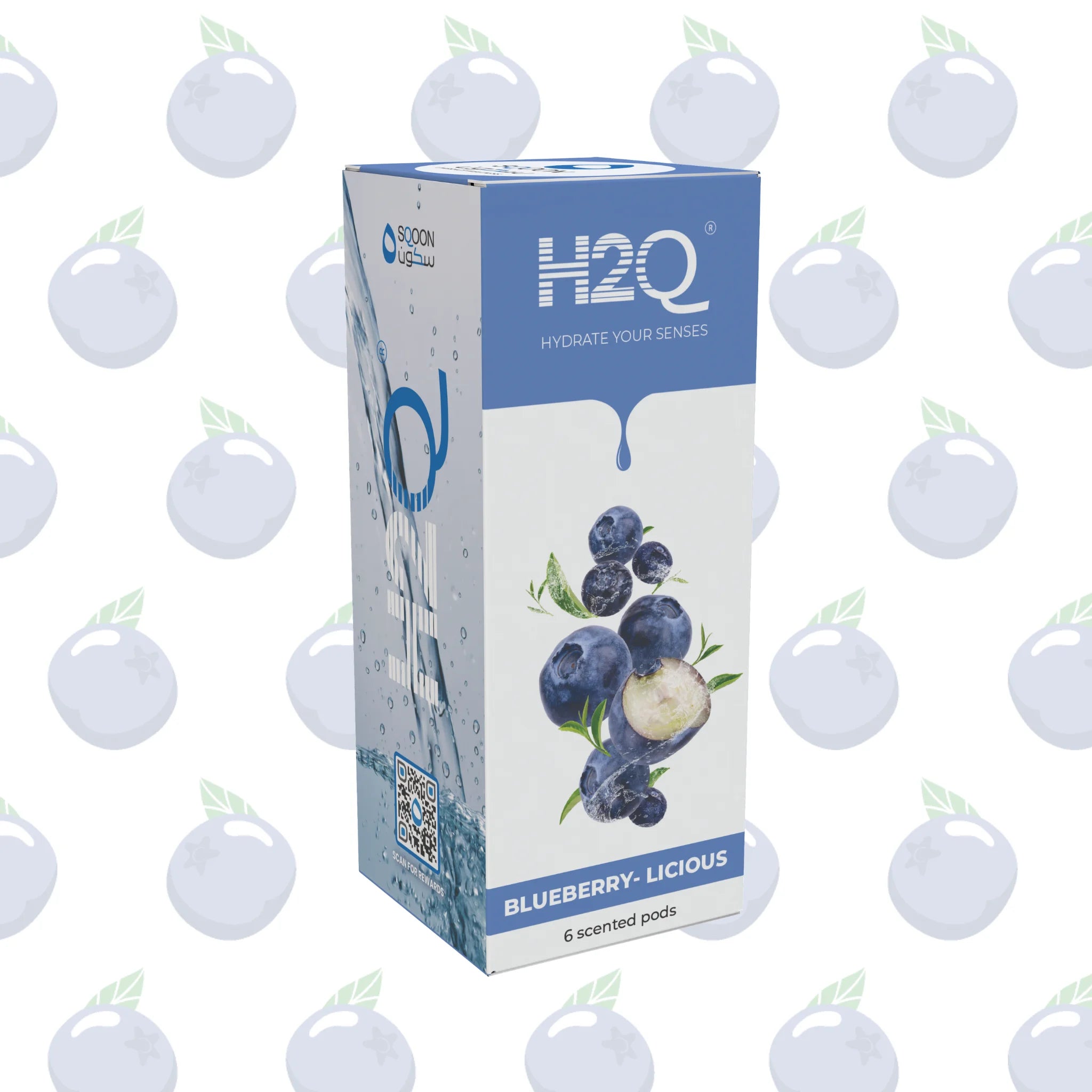 H2Q BLUEBERRY-LICIOUS