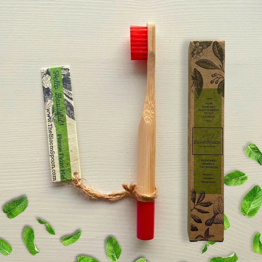 BLOOMSPOON BAMBOO TOOTHBRUSH WITH PLANTABLE SEED TAG (MINT) - SQOON