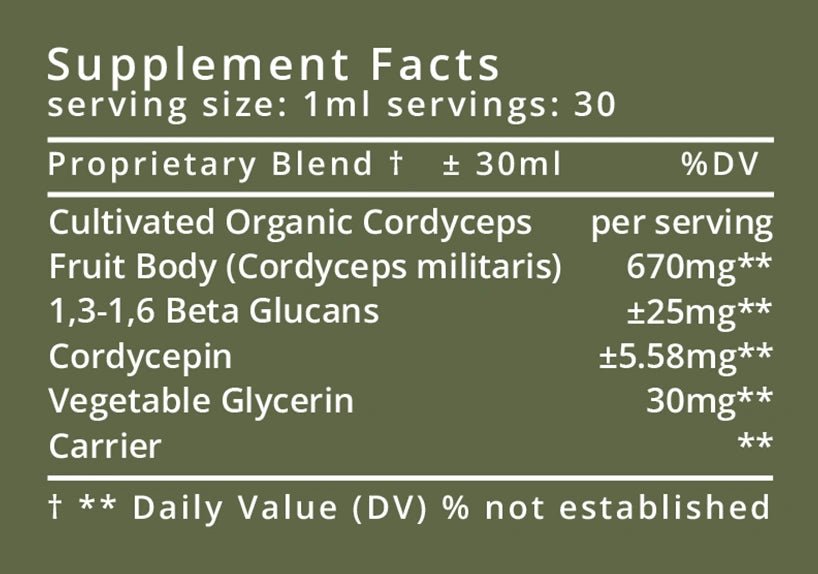 LIFE WITHIN CORDYCEPS EXTRACT (30 ml) - SQOON